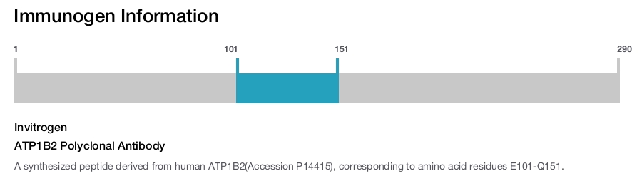 ATP1B2 Polyclonal Antibody