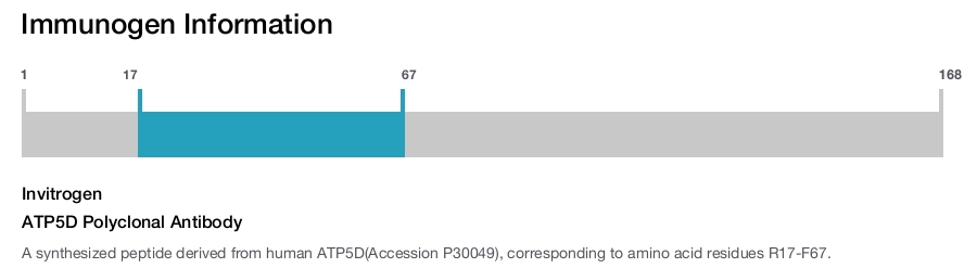 ATP5D Polyclonal Antibody