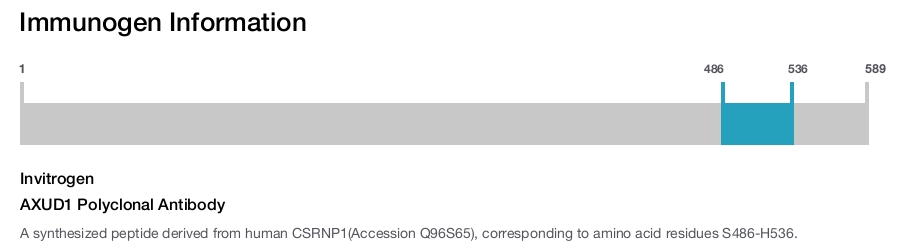 AXUD1 Polyclonal Antibody