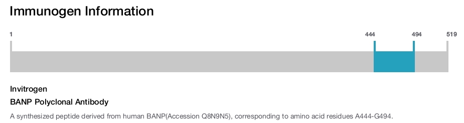 BANP Polyclonal Antibody