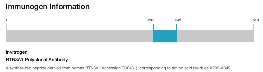 BTN3A1 Polyclonal Antibody