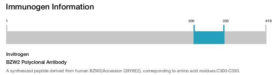 BZW2 Polyclonal Antibody