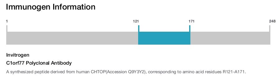 C1orf77 Polyclonal Antibody