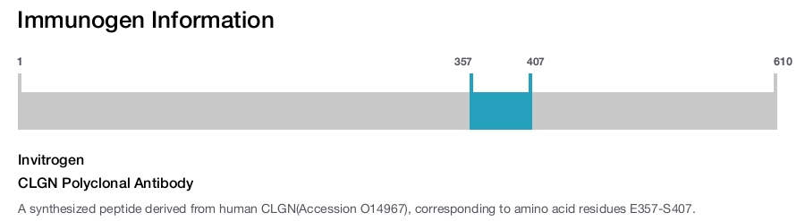 CLGN Polyclonal Antibody