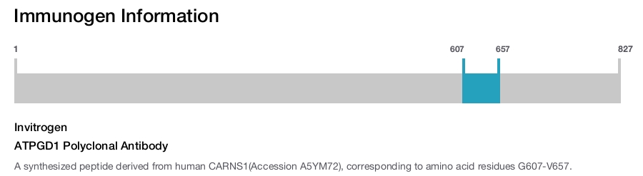 ATPGD1 Polyclonal Antibody