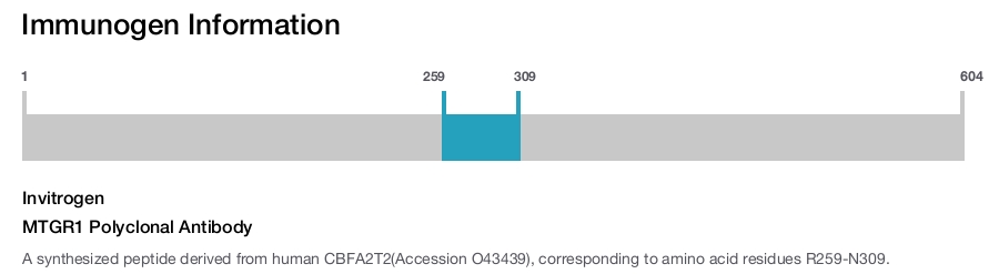 MTGR1 Polyclonal Antibody