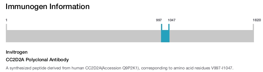 CC2D2A Polyclonal Antibody