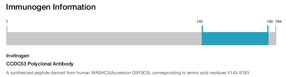 CCDC53 Polyclonal Antibody