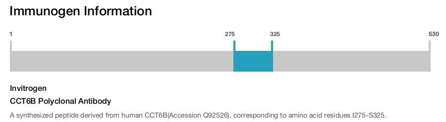 CCT6B Polyclonal Antibody