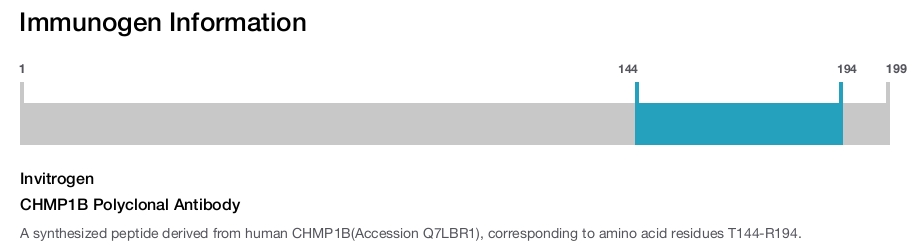 CHMP1B Polyclonal Antibody