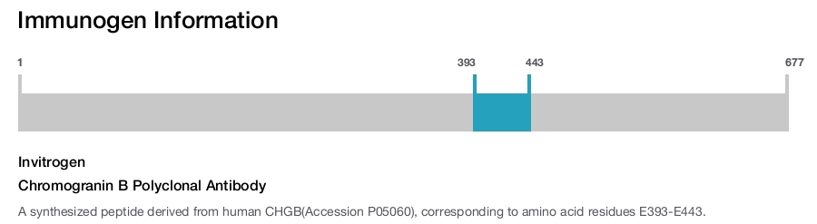 Chromogranin B Polyclonal Antibody