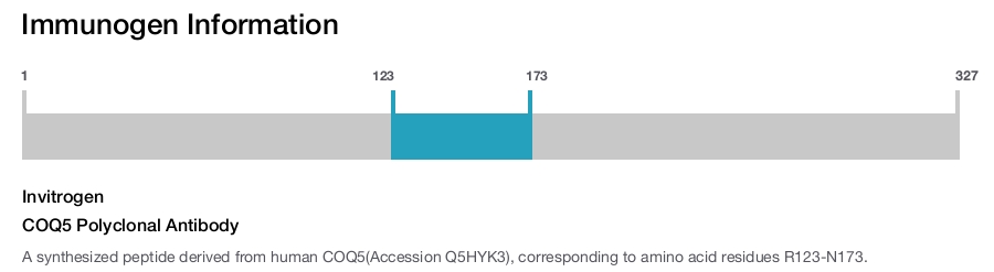 COQ5 Polyclonal Antibody