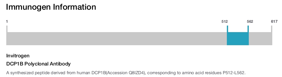 DCP1B Polyclonal Antibody