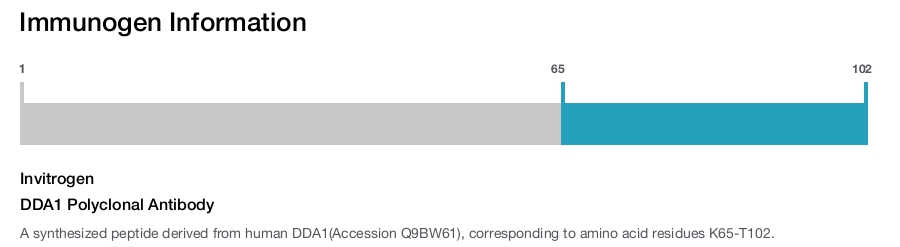 DDA1 Polyclonal Antibody