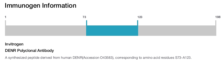 DENR Polyclonal Antibody