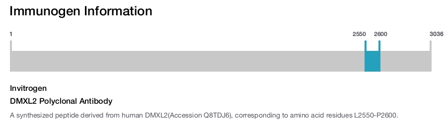 DMXL2 Polyclonal Antibody