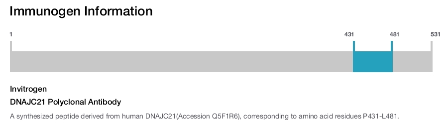DNAJC21 Polyclonal Antibody