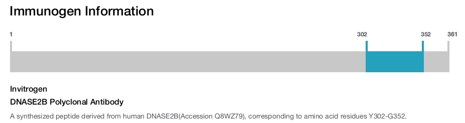 DNASE2B Polyclonal Antibody