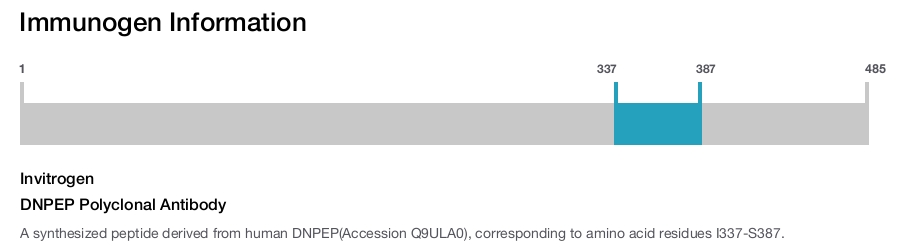 DNPEP Polyclonal Antibody