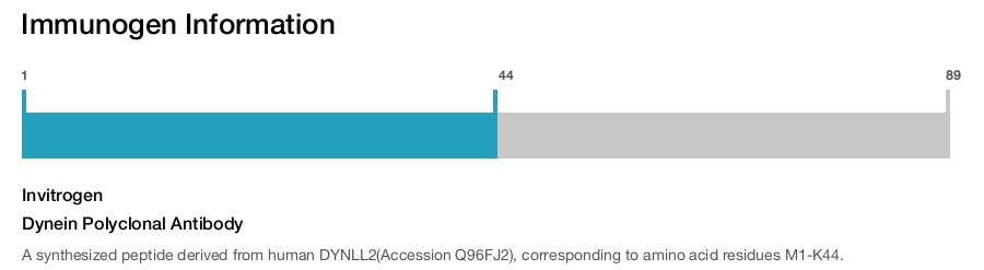 Dynein Polyclonal Antibody