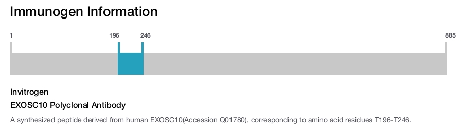 EXOSC10 Polyclonal Antibody