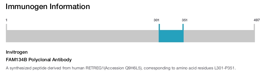 FAM134B Polyclonal Antibody