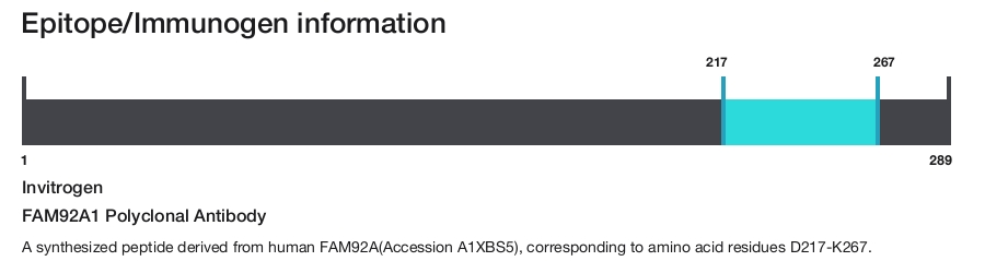 FAM92A1 Polyclonal Antibody