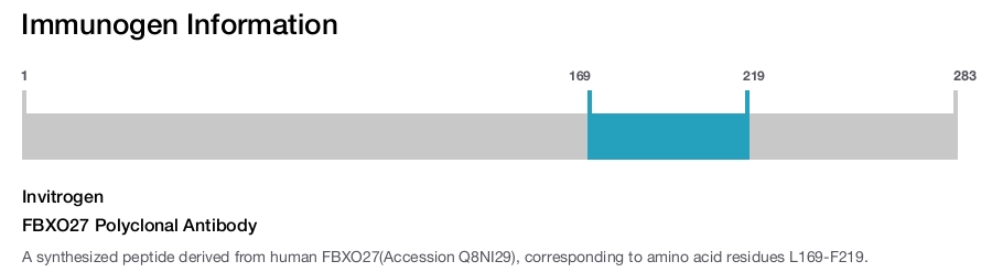 FBXO27 Polyclonal Antibody