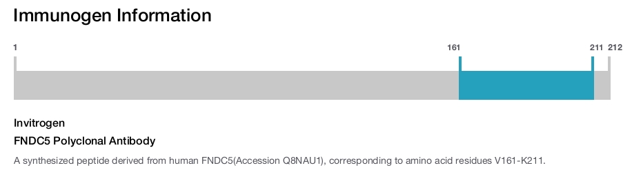 FNDC5 Polyclonal Antibody