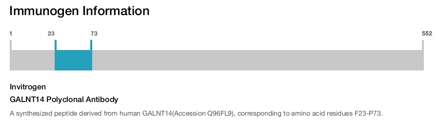 GALNT14 Polyclonal Antibody