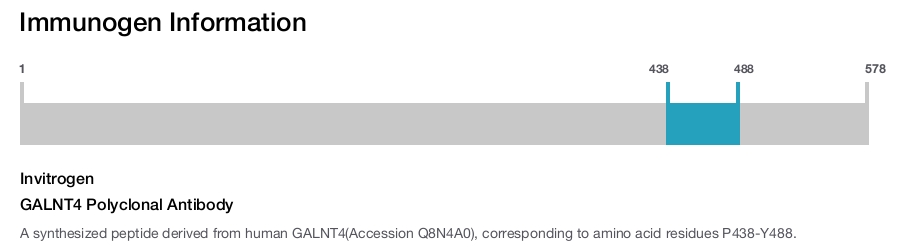 GALNT4 Polyclonal Antibody
