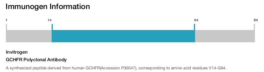 GCHFR Polyclonal Antibody