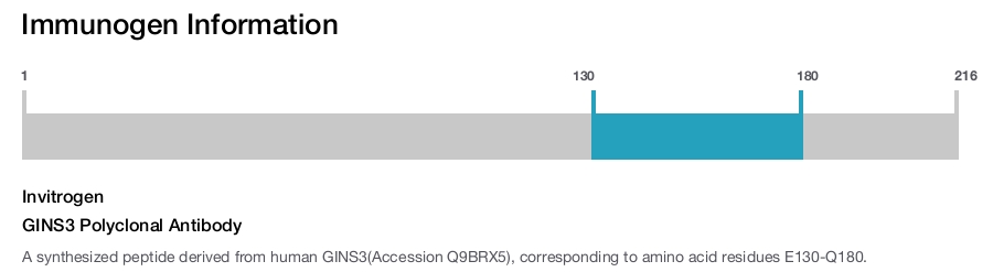 GINS3 Polyclonal Antibody