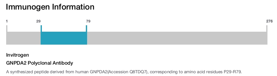 GNPDA2 Polyclonal Antibody