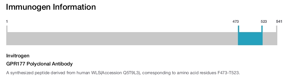 GPR177 Polyclonal Antibody