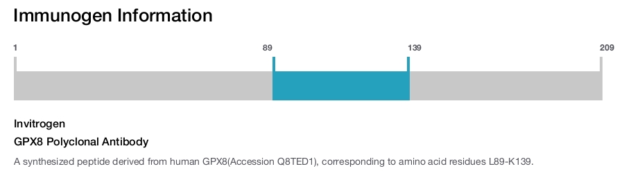GPX8 Polyclonal Antibody