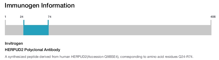HERPUD2 Polyclonal Antibody