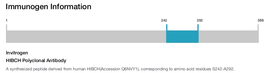 HIBCH Polyclonal Antibody