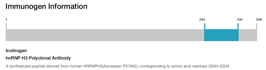 hnRNP H3 Polyclonal Antibody