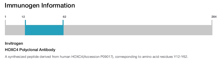 HOXC4 Polyclonal Antibody