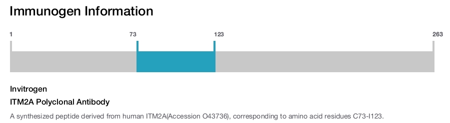 ITM2A Polyclonal Antibody
