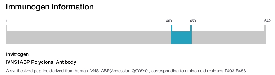 IVNS1ABP Polyclonal Antibody