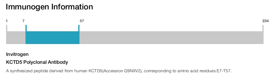 KCTD5 Polyclonal Antibody