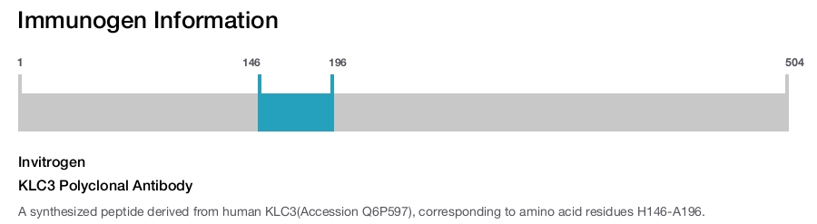 KLC3 Polyclonal Antibody