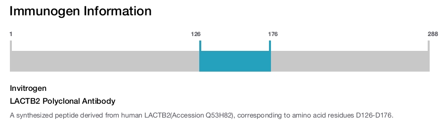 LACTB2 Polyclonal Antibody