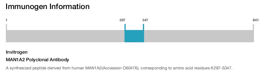 MAN1A2 Polyclonal Antibody