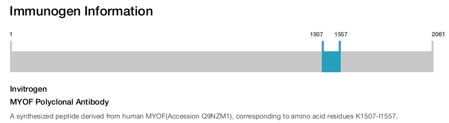 MYOF Polyclonal Antibody