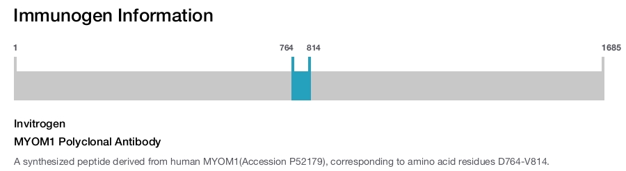 MYOM1 Polyclonal Antibody