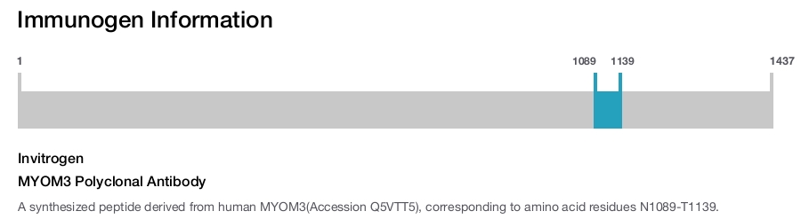 MYOM3 Polyclonal Antibody