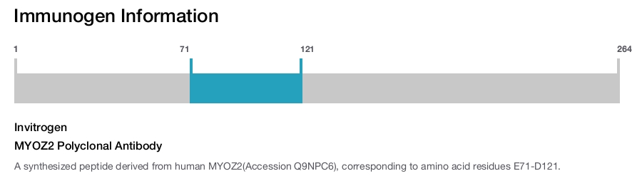 MYOZ2 Polyclonal Antibody